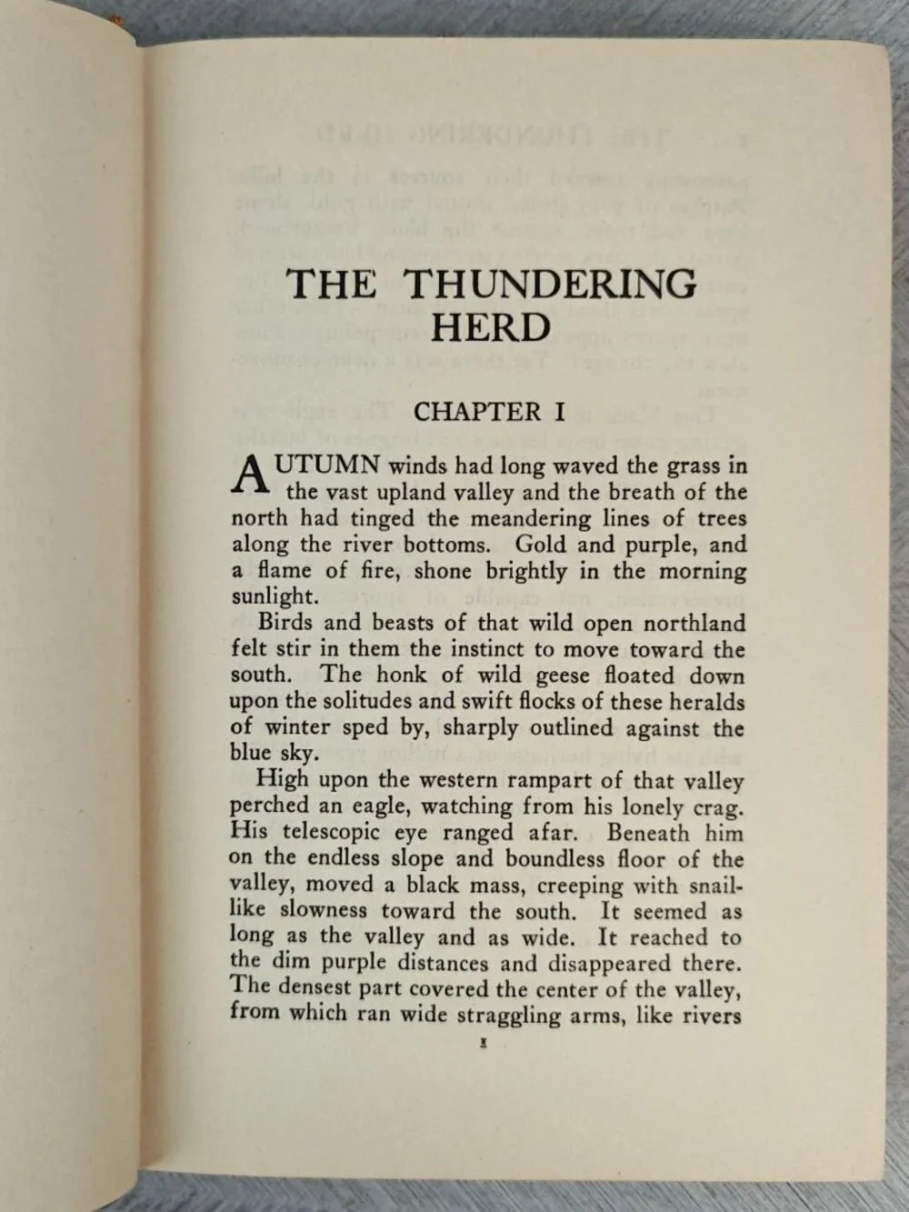 The Thundering Herd Zane Grey 1925 Hardcover Western Fiction Antique